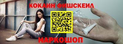 мдпв Камень-на-Оби
