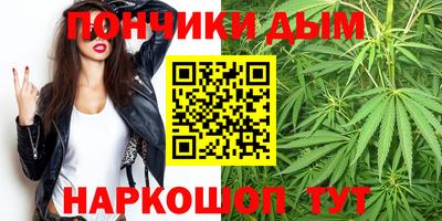 мдпв Камень-на-Оби
